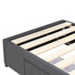Bed Bases with 2 Drawers  - King Single - Charcoal